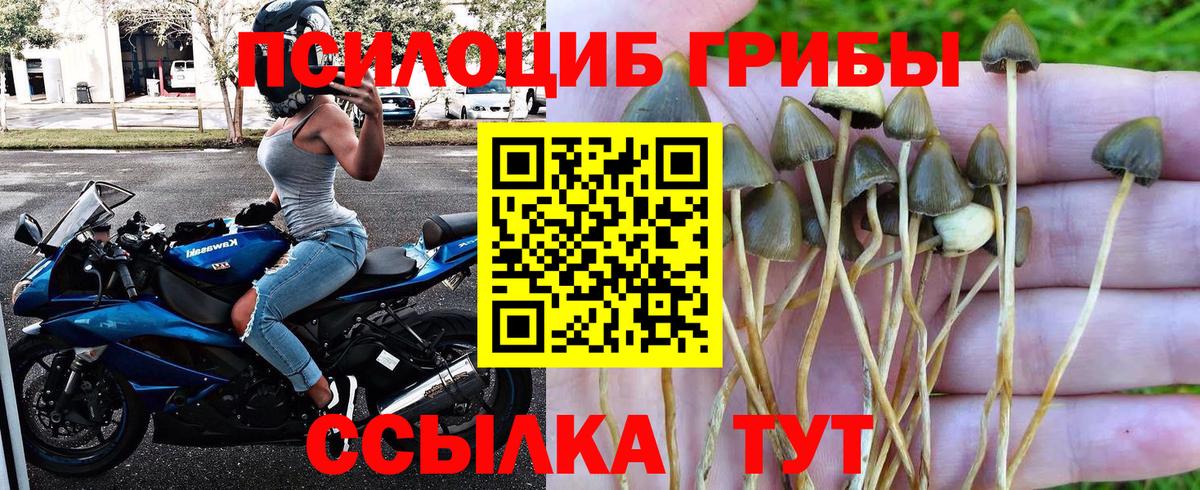 Нурлат  Галлюциногенные грибы Magic Shrooms  сколько стоит  Вход с VPN 