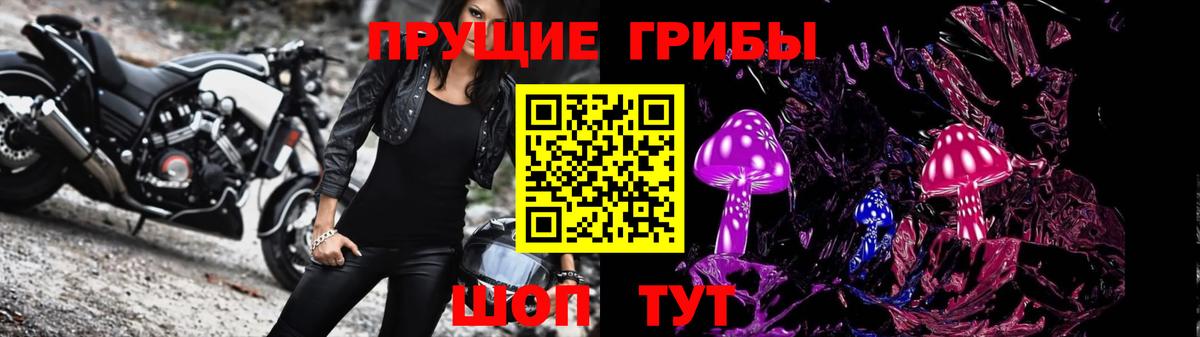 Псилоцибиновые грибы Psilocybe Нурлат